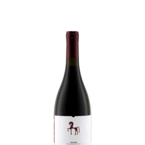 ΑΤΙ ΚΟΚΚΙΝΟ ΝΑΟΥΣΑ 2021